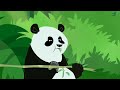 Wild Kratts 🐺🐼 Exploring the Animal Kingdom 🐊🦉 Kids Videos