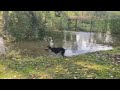 Jasper and Alice in the flooded exercise field