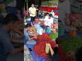 Jualan sayur dan buah di depan rumah, di jalan Soekarno dekat SPBU Bolia, Lahewa