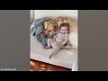 Dogs And His Baby Brother Share Every Emotional Together