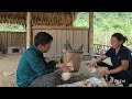 Harvesting giant bamboo shoots to make chili bamboo shoots - Mysterious woman appears