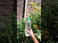 Viral  Fountain Bottle make in 1minutes😉#youtube Video #artandcraft #DIY# Craftideas#viralvideo