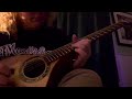 Cittern / Irish Bouzouki built by Tim Reede