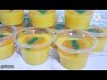 WOWW HEBAT~MODAL AGAR AGAR 1 BUNGKUS DAN NUTRISARI JADI 20 PUDING CUP#reseppudding#snackboxkekinian