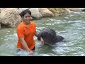 Bathing with the cute Baby Elephant of Khao Lak