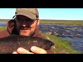 Catching ARCTIC Grayling With A MINI Fishing Rod, UNDERWATER Video