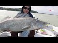 BIG ZANDERS from LAKE BALATON