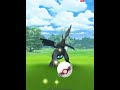 Zekrom Quad! All Black Rayquaza! Easy Peezy PokemonGo