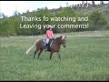 Horse Music Video
