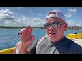 Costa Maya Mexico Cruise Port | No Excursion Needed! | WATCH THIS Before You Book An Excursion