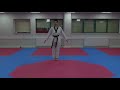 Taekwondo Pattern 2 - Taegeuk Ee Jang - YELLOW Belt | Poomsae