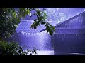 🌧️Relaxing Rain Sounds for Sleeping, Studying, meditation  Night Rainstorm on Old Roof  Loud Thunde