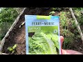 Planting In The Lettuce Bed