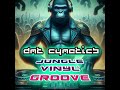 Music Track: Jungle Vinyl Groove (ReMastered)