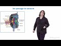 Mass Cytometry Introduction - Susanne Heck (NIHR BRC)