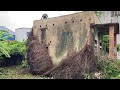 Transforming Grandpa's 80-Year-Old House by Cleaning and Removing Overgrown Vegetation | inspire