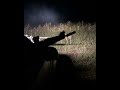 Hunting Hogs with a 50 Cal