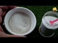 BORAX in Gardening: As a Fertilizer and Ant Control - Borax Ant Bait Recipe