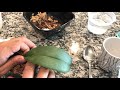 My Orchid Is Dying..... Phalaenopsis Orchid Rescue Repotting