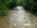 Bushkill Creek | Tatamy, Pennsylvania | baseflow/stormflow