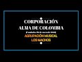 Agrupación musical Los Machos. Música Andina. Cúcuta. Norte de Santander. Colombia.