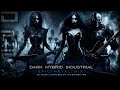 Dark Hybrid Industrial / Epic Metal Mix - The Enigma TNG