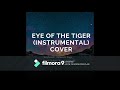 Eye of the tiger (Instrumental) cover