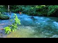 Stress Relief Sounds, Nature Ambiance, Beautiful Relaxing Stream