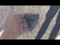 Hunting Fossilized Shark Teeth on the Beaches of South Carolina