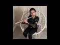 Story of My Life - Flute Cover - One Direction
