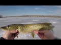 Amazing Underwater Footage! Ice Fishing NORTHERN PIKE with 5 of Diamonds!