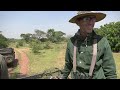Hunting in Uganda - Buffalo and Plains game hunting in East Africa