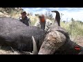 The Final Days - Epic Buffalo Hunting Trip in the Kalahari Desert