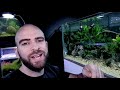 HOW TO STOP ALGAE! why I don't have any | MD FISH TANKS