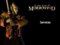 Morrowind Female High Elf Responses