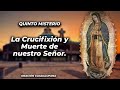 ROSARIO CORTO 23 DE JULIO (SIN ANUNCIOS INTERMEDIOS) 🌷 Misterios Dolorosos 🙏