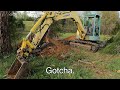 Digging BIG Trees With A MINI Excavator.  Yanmar VIO50 Digger