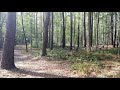 HD Virtual Hike! No music, nature sounds, crunching leaves.