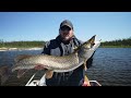 Sight Fishing for Monster Pike | Reindeer Lake Saskatchewan