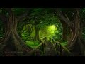 Enchanted Forest Music ༄ Relaxing Magical Forest Music  🌳 The Unfading Forest