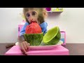 Summary of the best videos about Baby monkey Bon Bon