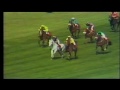 1988 Whitbread Gold Cup Sandown extended footage Desert Orchid