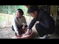 Grinding Corn For Chickens - Build A Nest For Chickens To Lay Eggs - Cleaning - Harvest Chicken Eggs