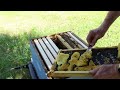 Beekeeping: How To FIX & PREVENT Wonky Comb