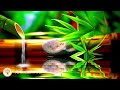 Relaxing Water Sound for Calm Mind, Body & Soul 💦 Nature Sound for Spa, Study , Yoga & Meditation