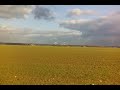 Field and sky short video