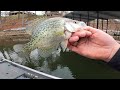 HUNDREDS OF CRAPPIE!! Caught my first black nose! (Garmin 93SV UHD)
