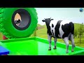 Cow Tiger Mammoth Elephant Bull Dinosaur vs Scary Teacher Choose The Right Tire Wild Animals  Game