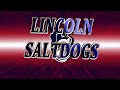 Saltdogs 3D Logo Loop