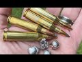 Best Cartridges for Killing Deer 2024! Who Is The NEW #1?